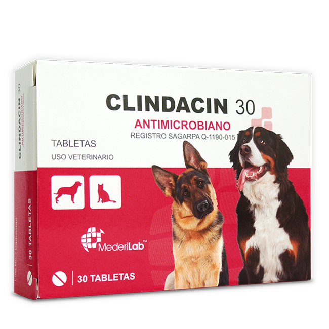 Clindacin 30 Antimicrobiano 30 Tabletas - MederiLab Clindacin 30 Antimicrobiano 30 Tabletas - MederiLab